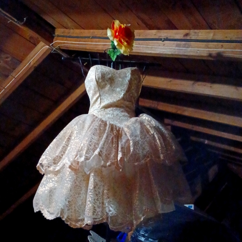 Jessica McClintock Circa 1987 evening Affair gown